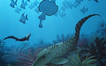 An imagined post-extinction scene, when the ocean was filled with tiny fish. 