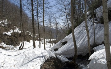 Snowpack in the Lesser Caucasus mountains of northeastern Turkey, elevation about 2,700 feet, late April 2012. The lowlands below depend heavily on seasonal snowmelt, projected to decline in this region and others in coming decades, due to global warming.