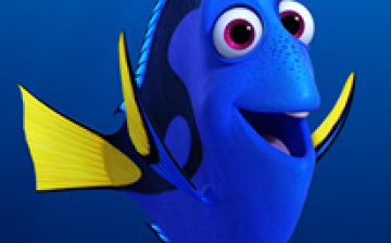 Dory from 