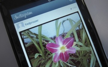 Instagram on Android phone