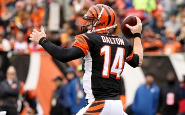 Cincinnati Bengals quarterback Andy Dalton.