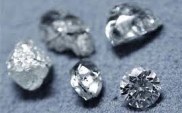 Diamonds are displayed in a polishing diamond workshop in Antwerp February 5, 2009. 