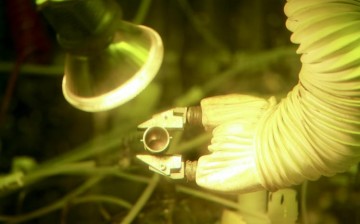 By producing 50 grams of plutonium-238, Oak Ridge National Laboratory researchers have demonstrated the nation’s ability to provide a valuable energy source for deep space missions