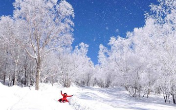 A woman slides under rime-covered trees at the Xianfeng Forest Park in Yanbian Korean Autonomous Prefecture, Northeast China's Jilin Province, Jan. 21, 2016. 