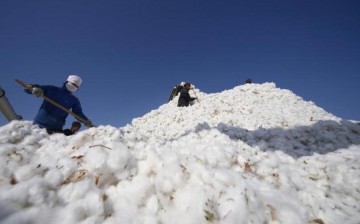 Farmers stack cotton at a cotton purchase station in Hami, Xinjiang Uyghur Autonomous Region, in this Nov. 3, 2010 photo.
