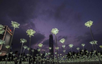 The LED Rose Garden is seen in Hong Kong, south China, Feb. 13, 2016. A total of 25,000 LED roses were set up at the seaside in Central Hong Kong on the night before the Valentine's Day. 