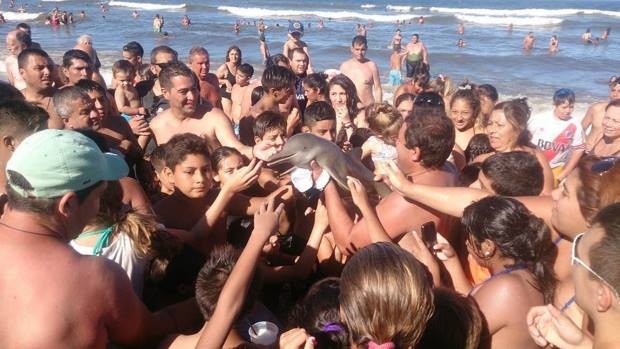 Argentinean beachgoers holding the baby Franciscana dolphin which eventually died of dehydration because it was out of the water for a long time. 