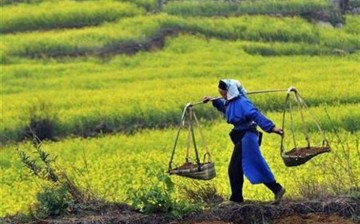 Chinese scientists found that farmers had overused phosphorus in 2012, averaging 80 kg of phosphorus per hectare for crop production, far higher than the average level among developed countries.