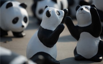 The exhibition by French artist Paulo Grangeon arrives in Bangkok after they have been flown around the world to spread the message about environmental preservation. 1,600 represents the number of pandas left in the wild.