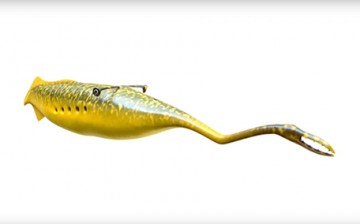 A depicted image of the Tully Monster