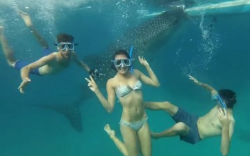 What’s backpacking without getting wet? Canadian couple (R) Eamon and (C) Bec, together with a (L) travel buddy, joined a whale shark underwater when they went backpacking in the Philippines.