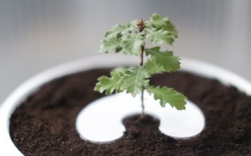 New kickstarter campaign Bios Incube from the makers of Bios Urn allows people look after the ashes of the dead growing into a plant