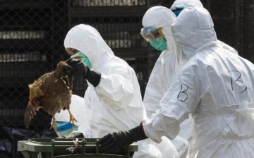 Female Chinese scientist Hualan Chen received the L’Oreal UNESCO Women in Science Award for her work on the avian flu virus which led to the development of a life-saving vaccine.