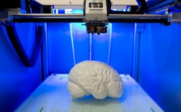 A brain model in a three-dimensional or 3D printer.