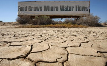 A sign on a farm trailer reading 'Food grows where water flows,' hangs over dry, cracked mud at the edge of a farm April 16, 2009 near Buttonwillow, California. 