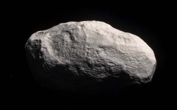 Manx is the first of its kind tailless comet that lives in the Oort cloud