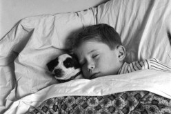 A young boy asleep with his dog