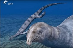 The previous depiction of the marine reptile Atopodentatus Unicus as it swam under the sea.