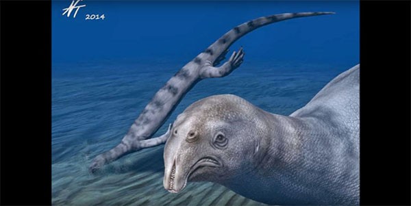 The previous depiction of the marine reptile Atopodentatus Unicus as it swam under the sea.