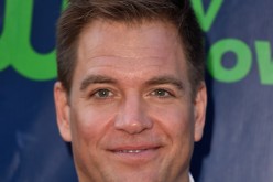 Michael Weatherly arrives at the CBS 2015 Summer TCA Party.