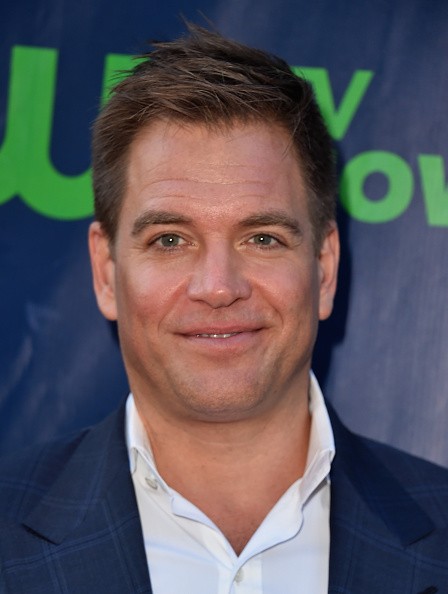 Michael Weatherly arrives at the CBS 2015 Summer TCA Party.