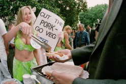 Former Playboy Playmate Kari Kennell serves vegetarian ''Not Dogs'' at PETA's meat-free dog party, July 19, 2000 on Capitol Hill in Washington.