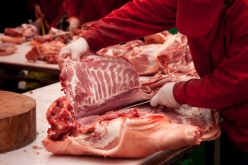 Pork consumption in China increases, causing animal feed businesses to flourish.