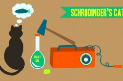 Schrodinger's cat is a quantum physics paradox that explains how a hypothetical cat inside a box can be both dead or alive until the box is finally opened for observation. 