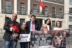 Animal rights group Humane Society gathered 11 million signatures as call for an end to China's Yulin Dog Meat Festival.