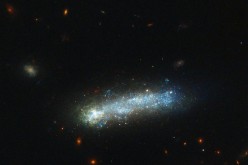 In this new image from the NASA/ESA Hubble Space Telescope, a firestorm of star birth is lighting up one end of the diminutive galaxy LEDA 36252 — also known as Kiso 5649.