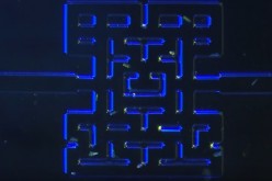 A reall life Pac Man game uses live micro organisms to hunt down each other in a similar 3D maze.