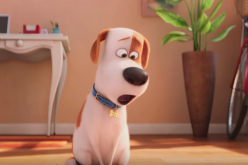The dog Max (voiced by Louis C.K.) misses his owner when left at home.  