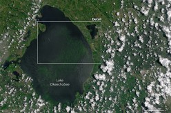 The blue-green algae bloom is visible in this image of Lake Okeechobee, acquired on July 2, 2016, by the Operational Land Imager (OLI) on the Landsat 8 satellite. 