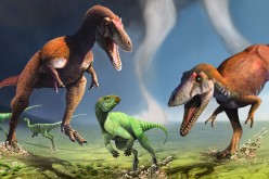 The Gualicho shinyae dinosaur appears to be a smaller T. rex with the same short arms.