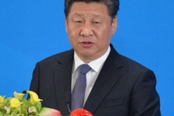 Chinese President Xi Jinping has vowed to combat corruption under his regime. 
