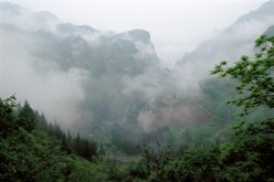 A view of the Shennongjia Forest in Hubei Province in Central China.