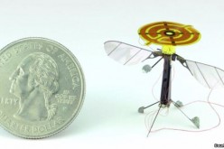 The RoboBee beside a small coin. The minuscule robot is expected to have a wide range of applications once it is made available. 