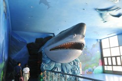 Visitors walk at a polar aquarium, the first of its kind, in Guiyang, Guizhou province, during its trial operation on Monday. 