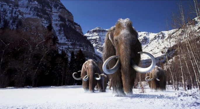 The last woolly mammoth populations existed some 5,600 years ago.