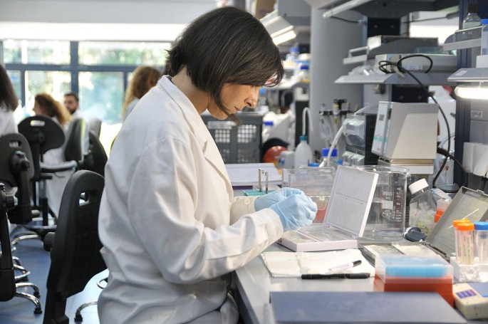 A researcher works at a gene research laboratory in Italy.