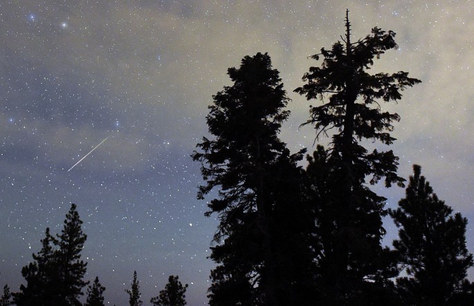 A Perseid meteor streaks across the sky above desert pine trees on August 13, 2015 in the Spring Mountains National Recreation Area, Nevada. The annual display, known as the Perseid shower because the meteors appear to radiate from the constellation Perse