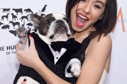 Christina Grimmie with Baxter attend the 2015 To The Rescue! New York Gala at Cipriani 42nd Street on November 13, 2015 in New York City.  