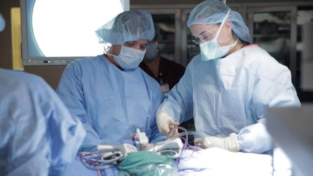 Organ transplants may soon be a thing of the past, thanks to a new drug discovered by Chinese scientists.