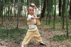 Master of the Shadowless Kick: Wong Kei-ying