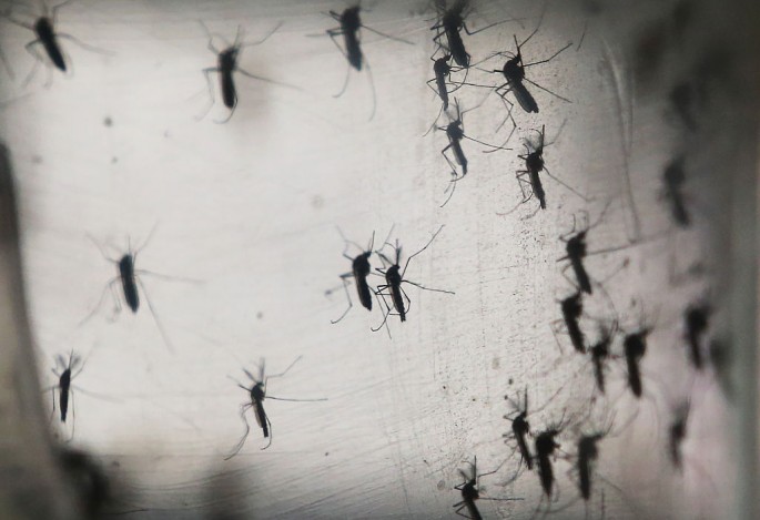 China implements new rules on importation to prevent spread of Zika virus.