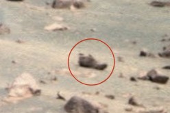 Someone allegedly left their shoe on Mars.