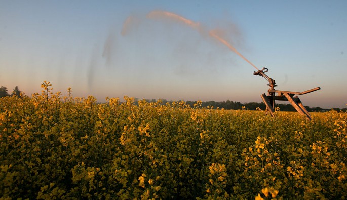Canola debate rises as China imposes new trade restrictions.