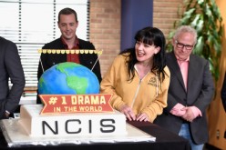 New main characters expected to inject energy to 'NCIS' season 14
