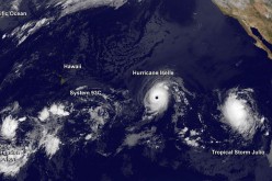 Typhoons galore in the Pacific Ocean.