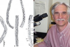 Baracktrema obamai from black marsh turtle and (right) Dr. Thomas Platt who named this flatworm after Pres. Obama.